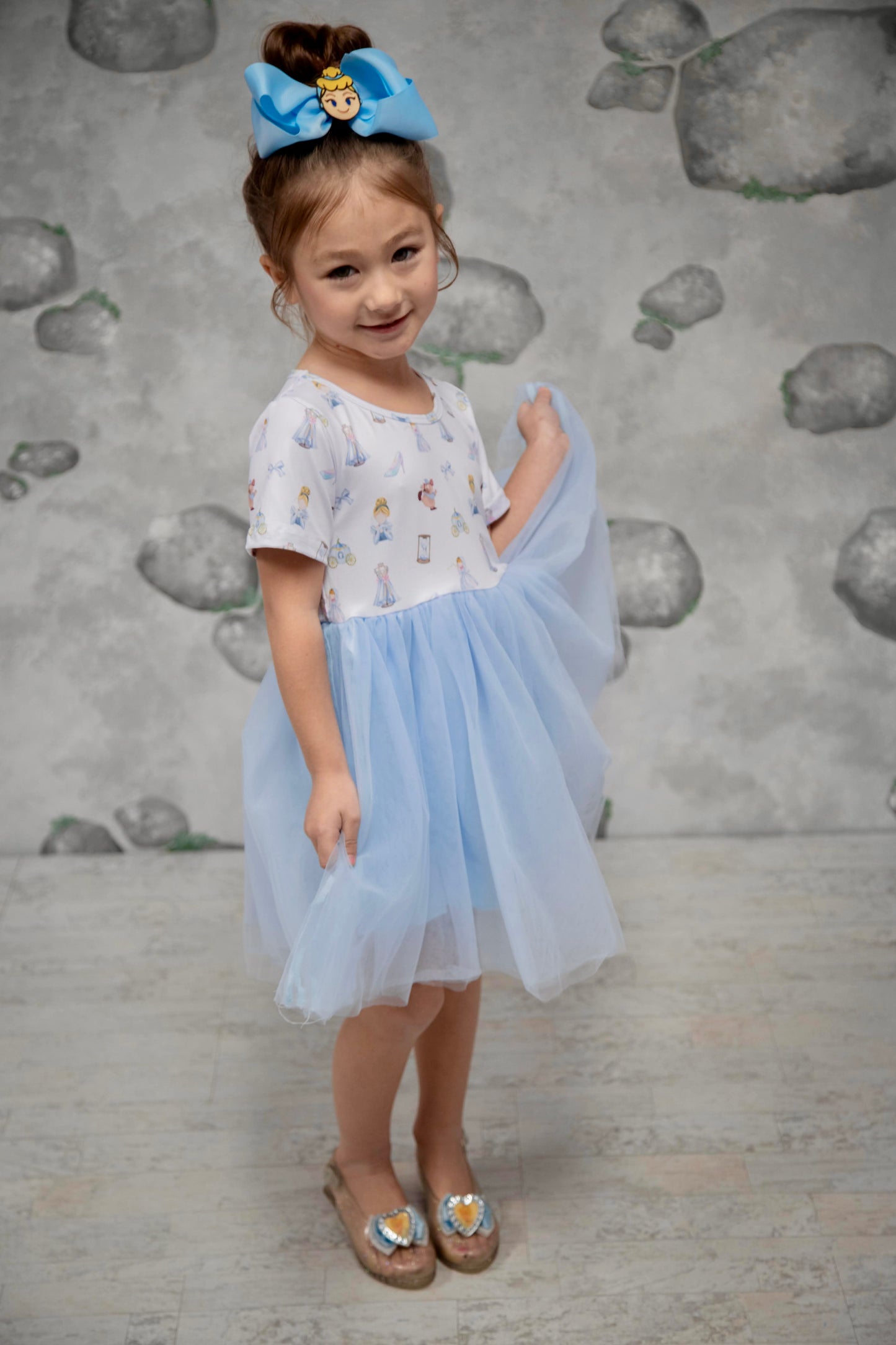 Cinderella Tulle Dress