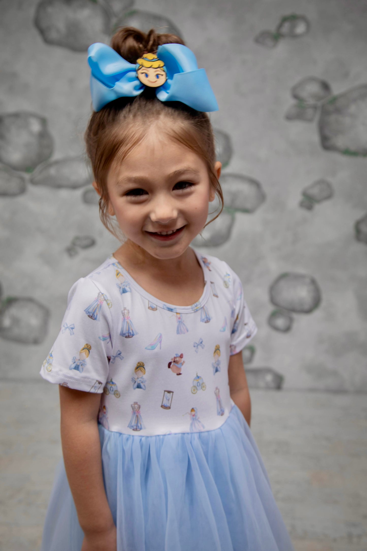 Cinderella Tulle Dress