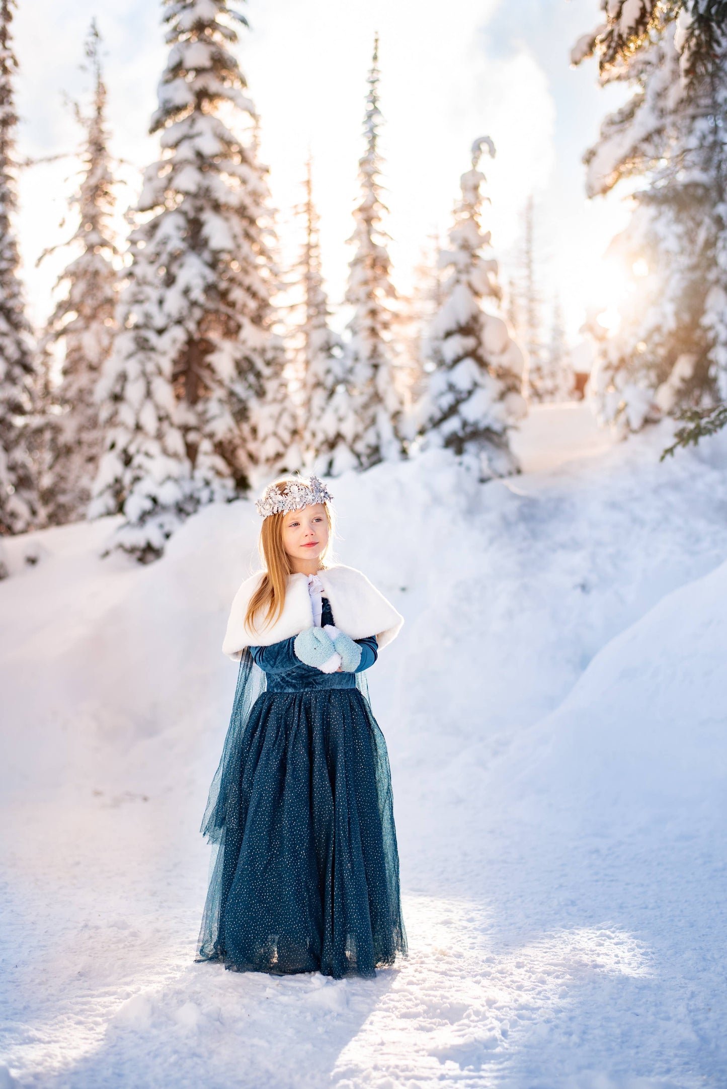 The Ice Queen costume dress