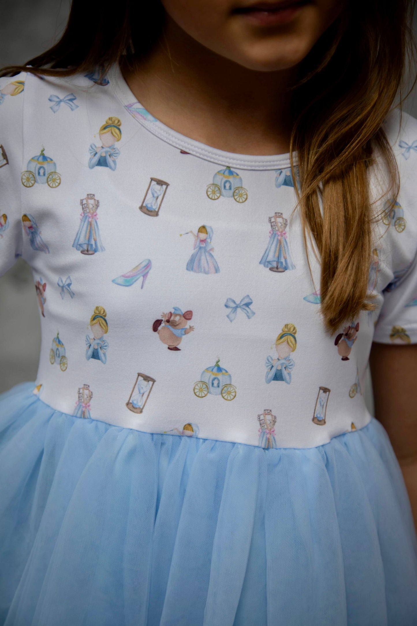 Cinderella Tulle Dress
