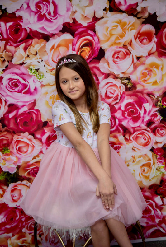 Sleeping Beauty Tulle Dress