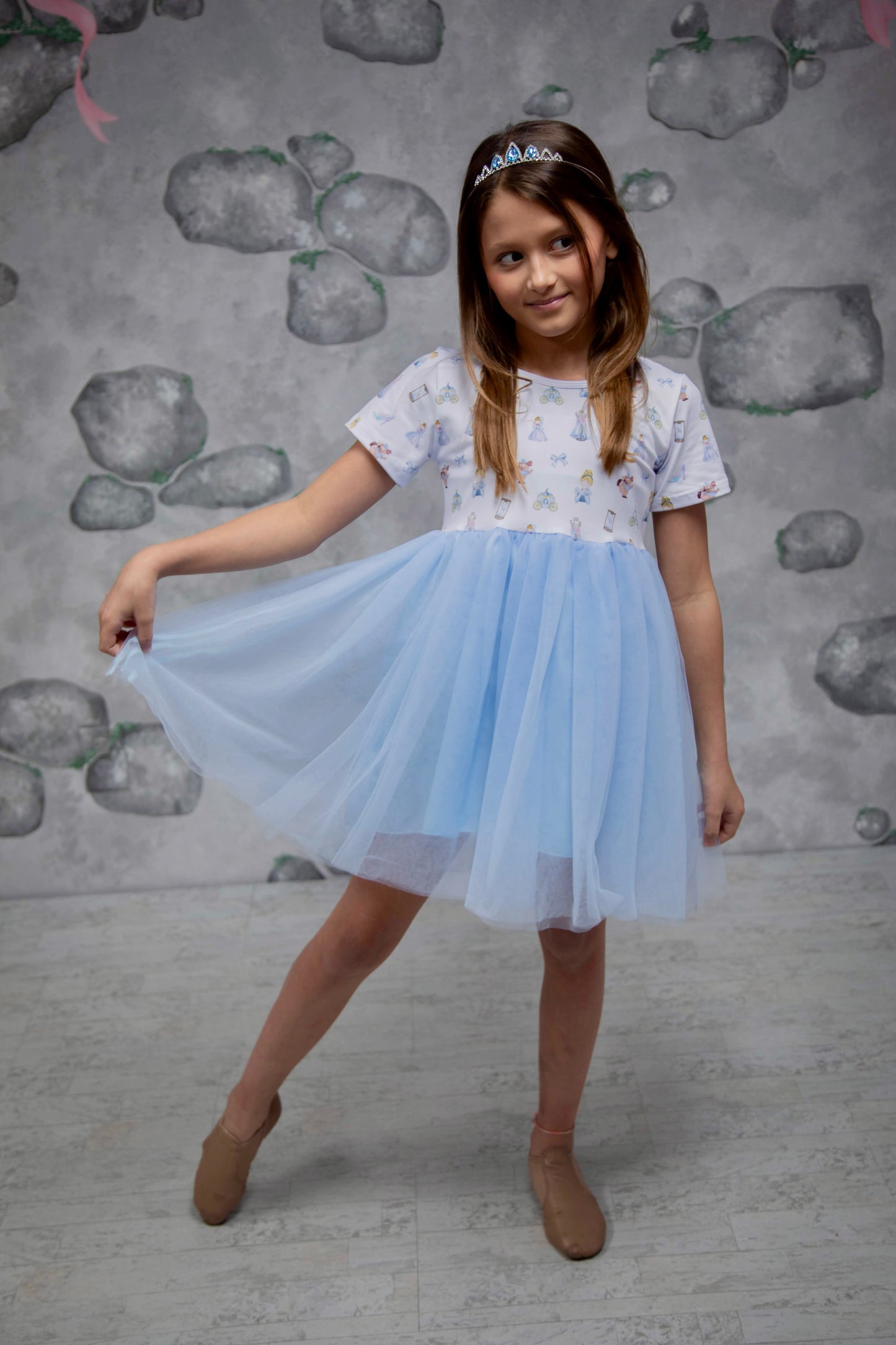 Cinderella Tulle Dress