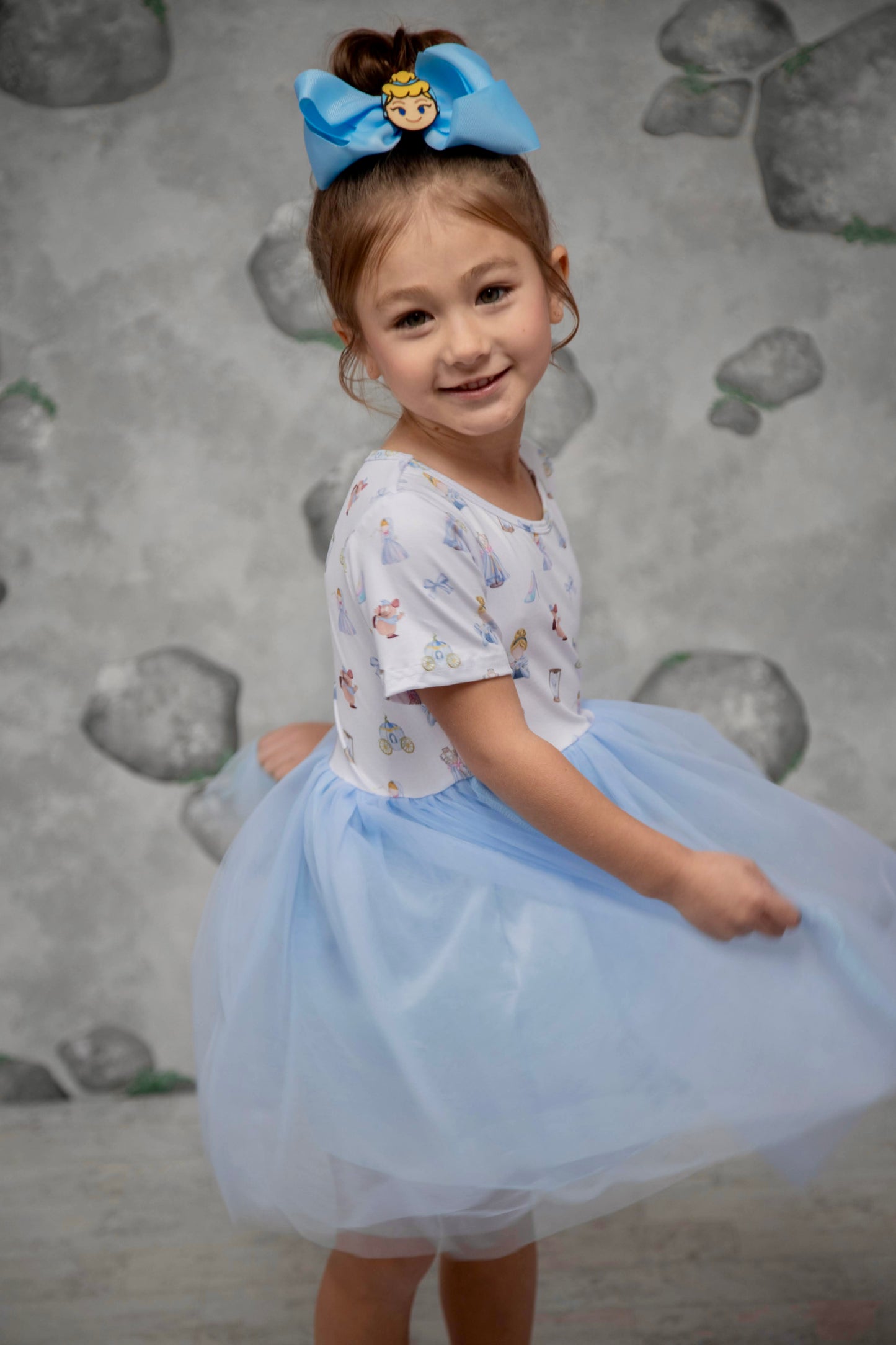 Cinderella Tulle Dress
