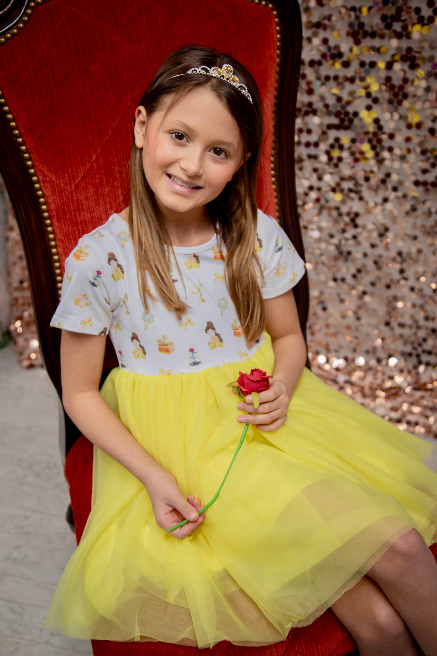 Princess Beauty Tulle Dress