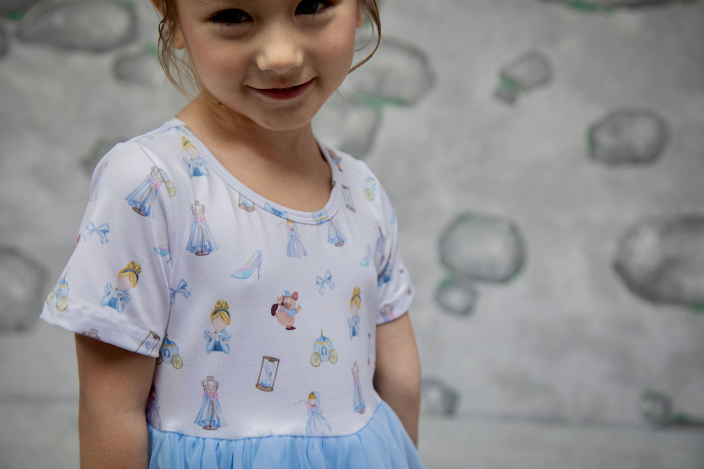 Cinderella Tulle Dress