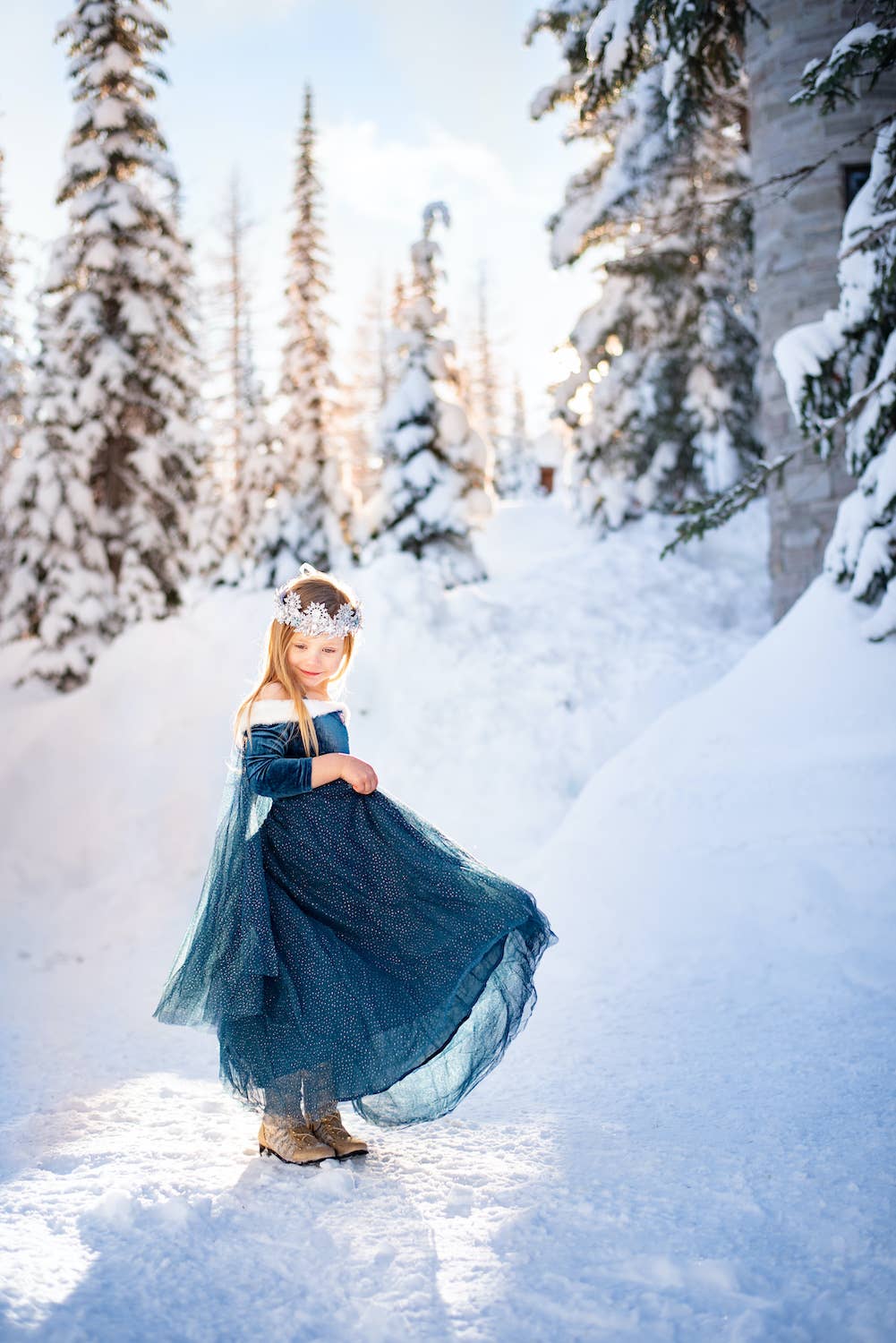 The Ice Queen costume dress