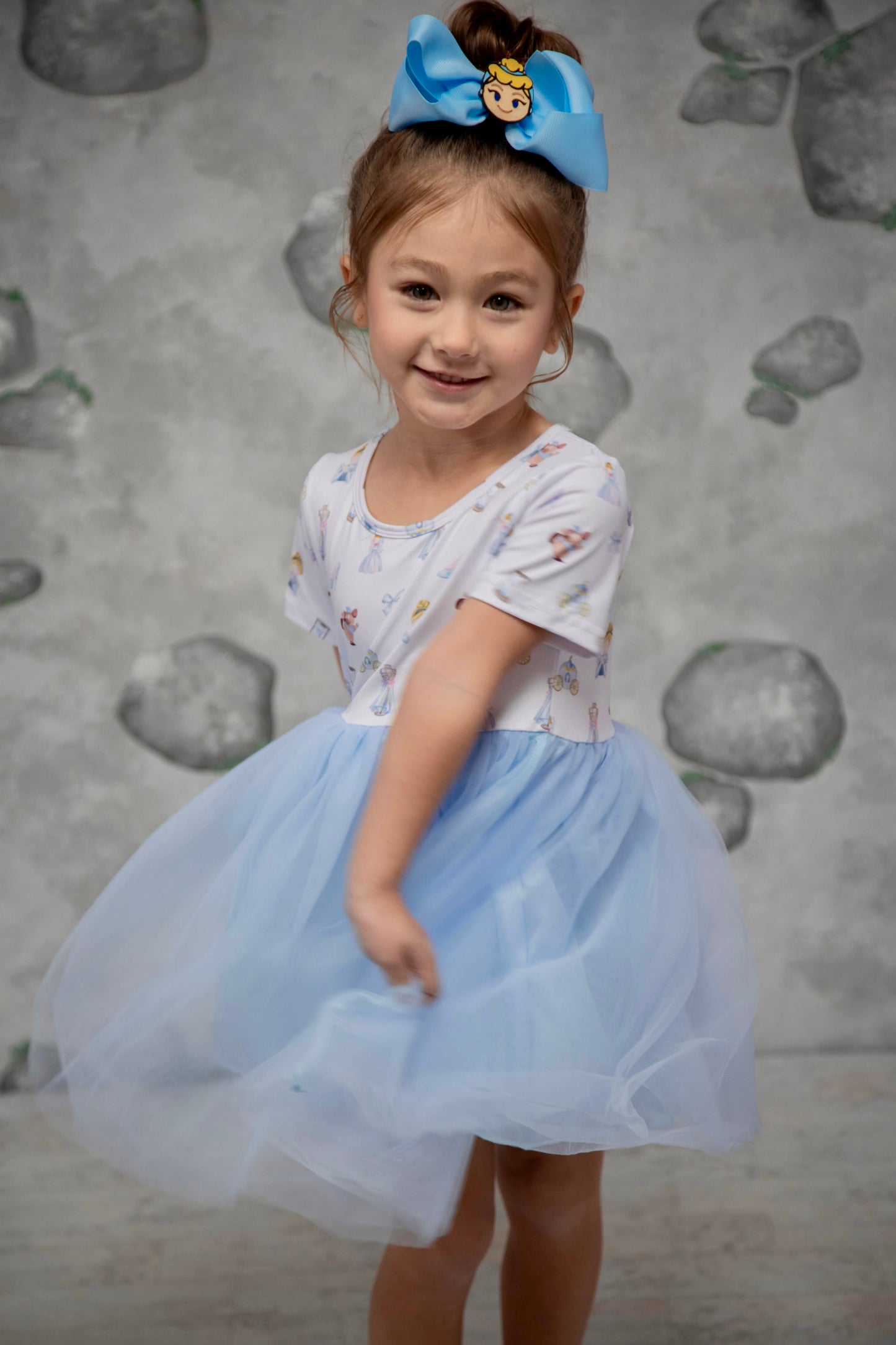 Cinderella Tulle Dress