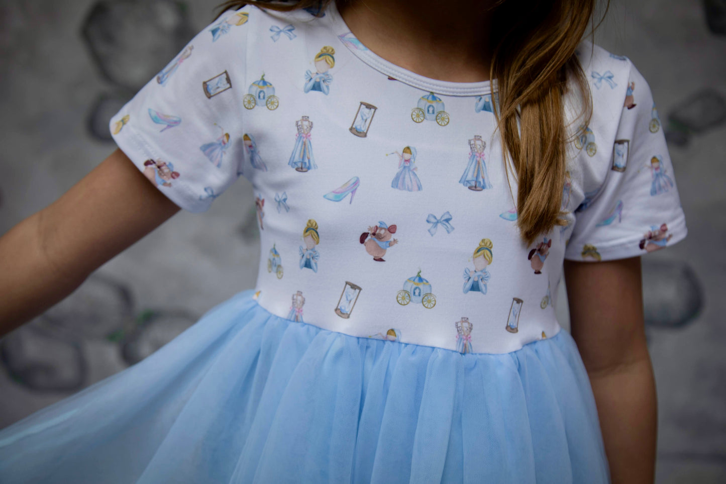 Cinderella Tulle Dress