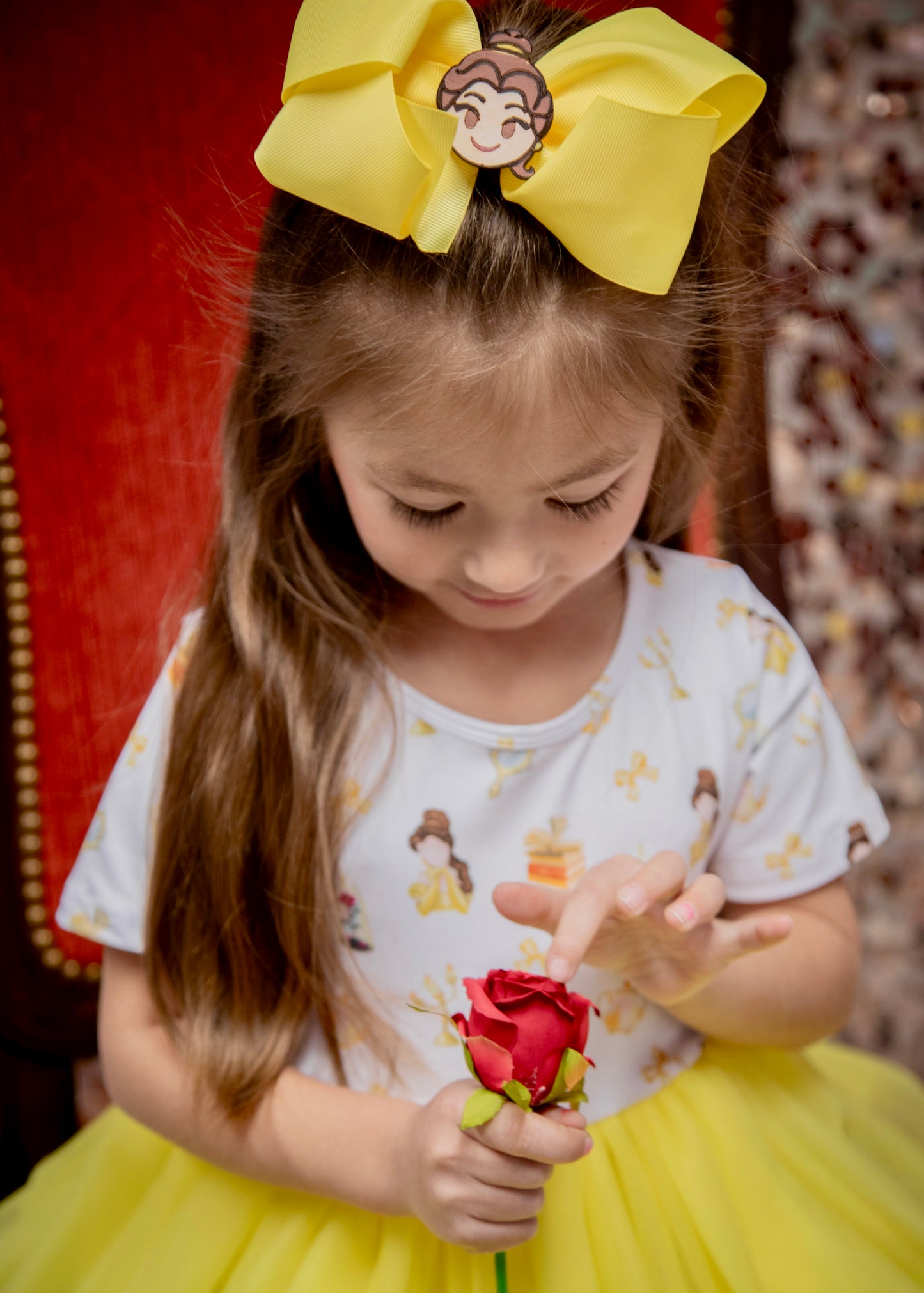 Princess Beauty Tulle Dress