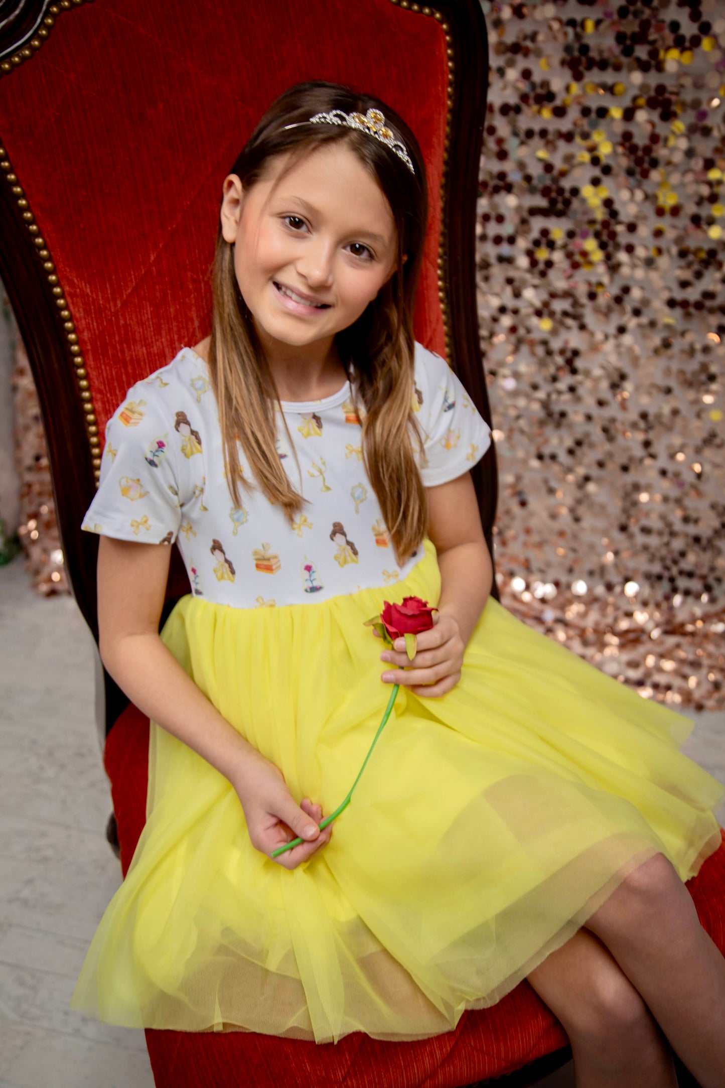 Princess Beauty Tulle Dress