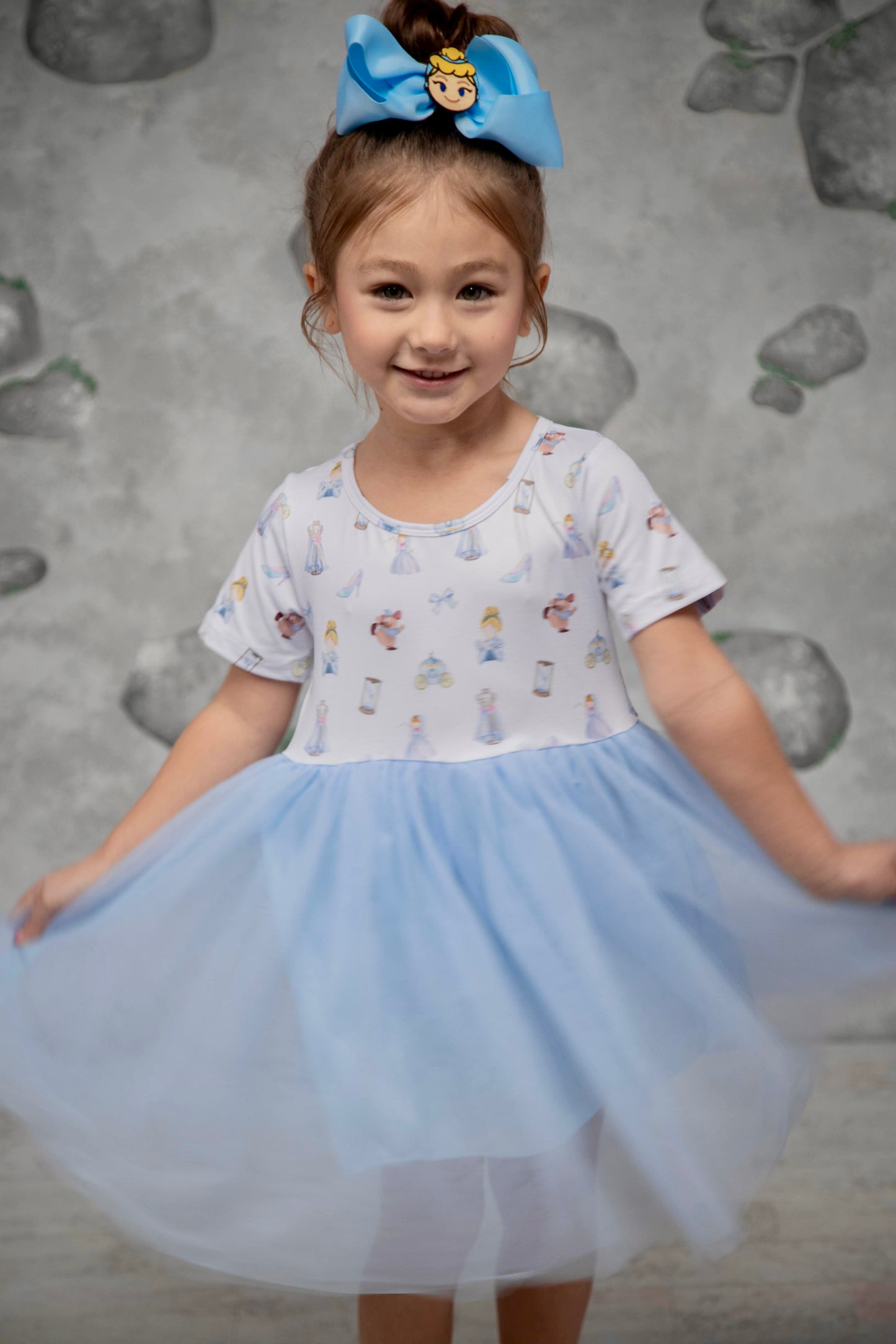 Cinderella Tulle Dress