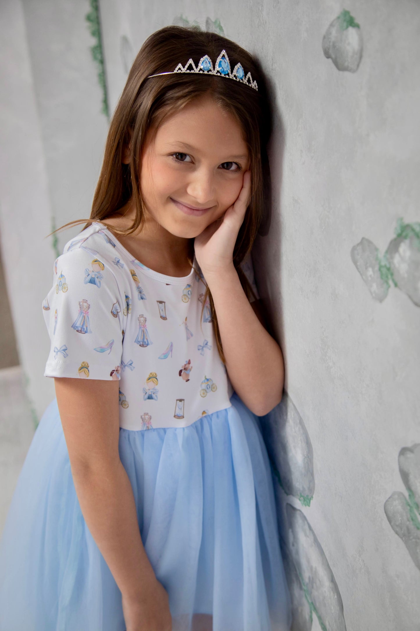 Cinderella Tulle Dress