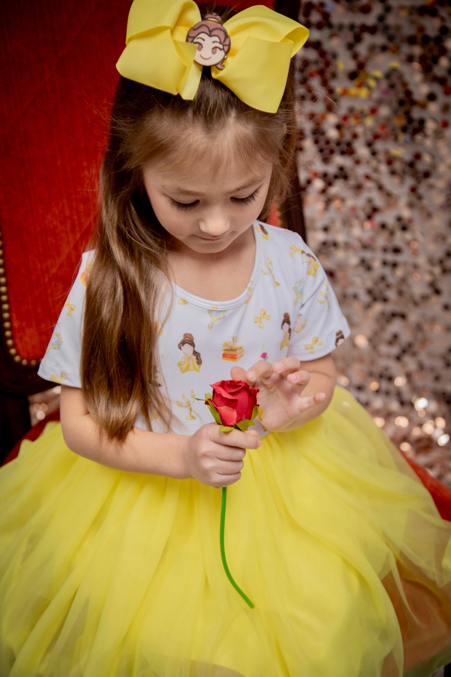Princess Beauty Tulle Dress