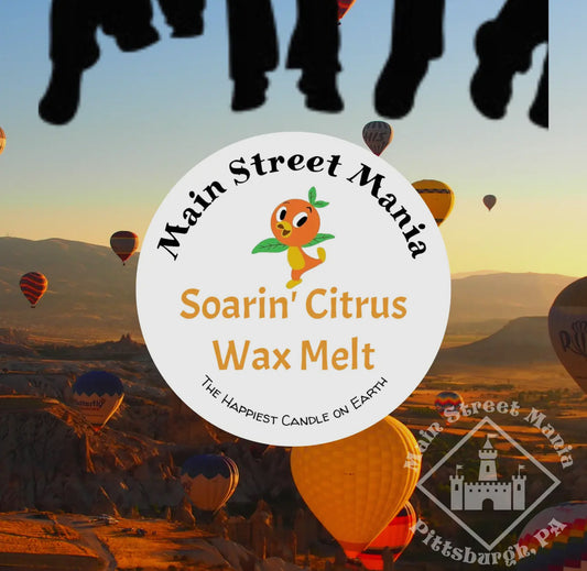 Soarin’ Citrus Wax Melt