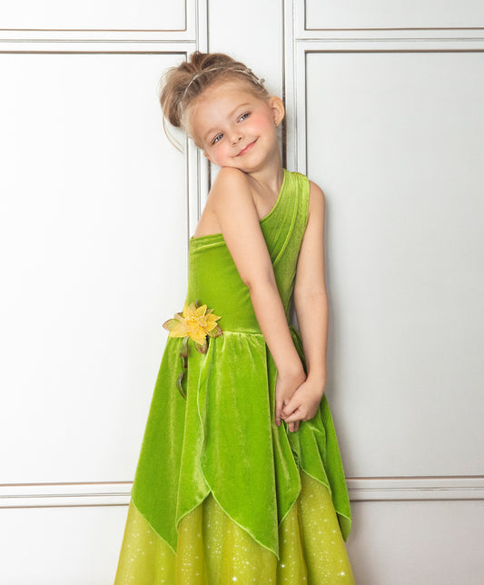 The Frog Princess or Tinker Fairy Dress