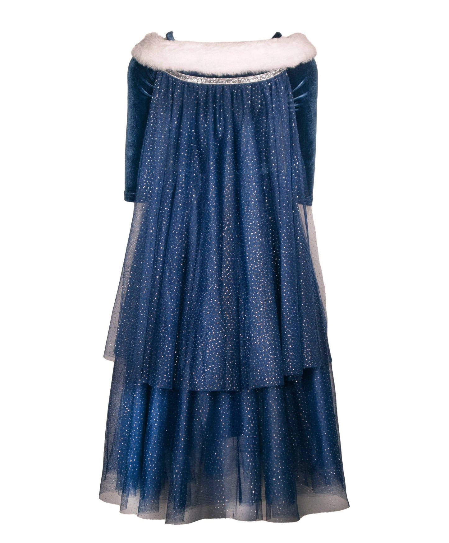The Ice Queen costume dress