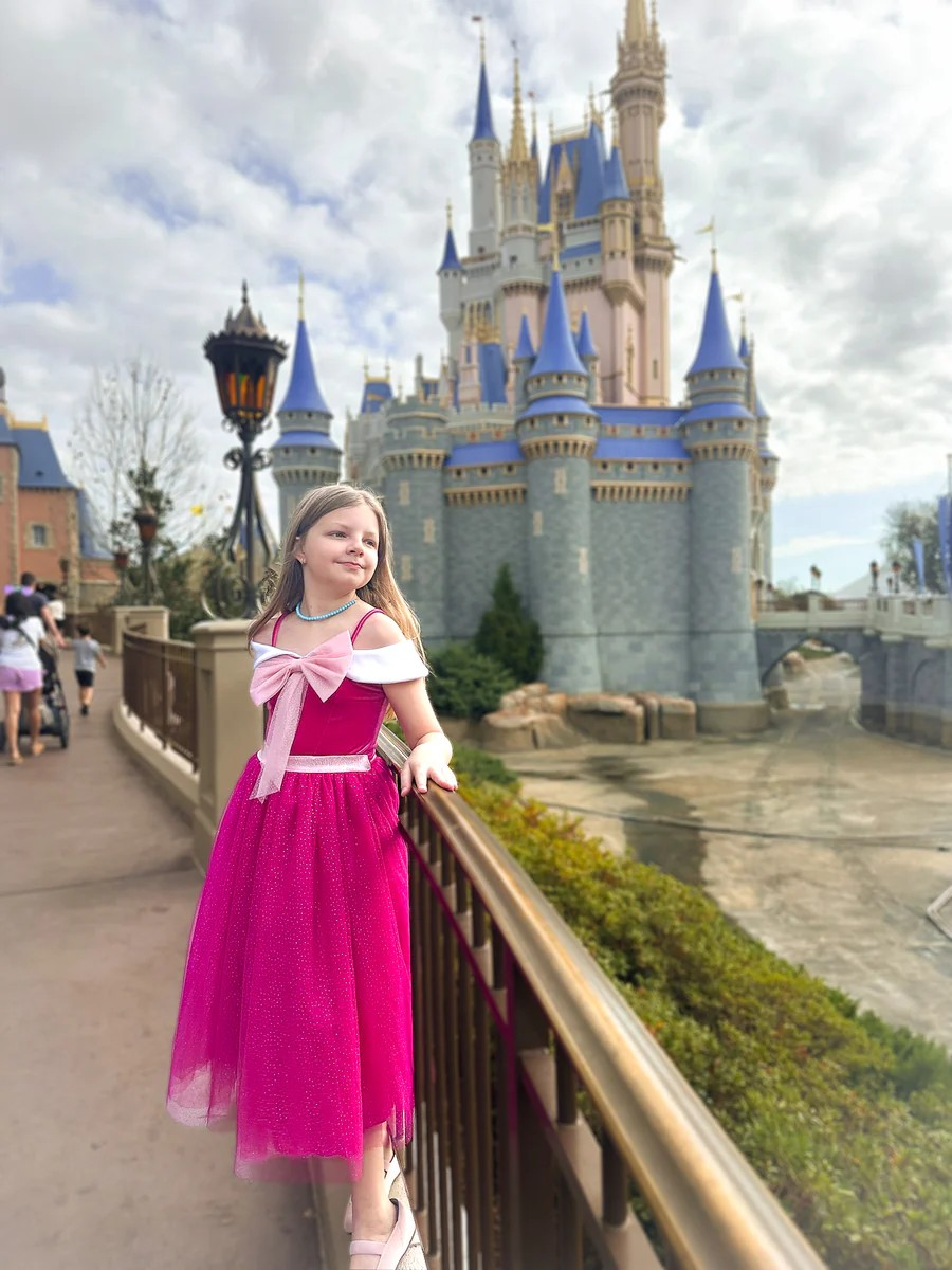 The Pink Cinderella Dress