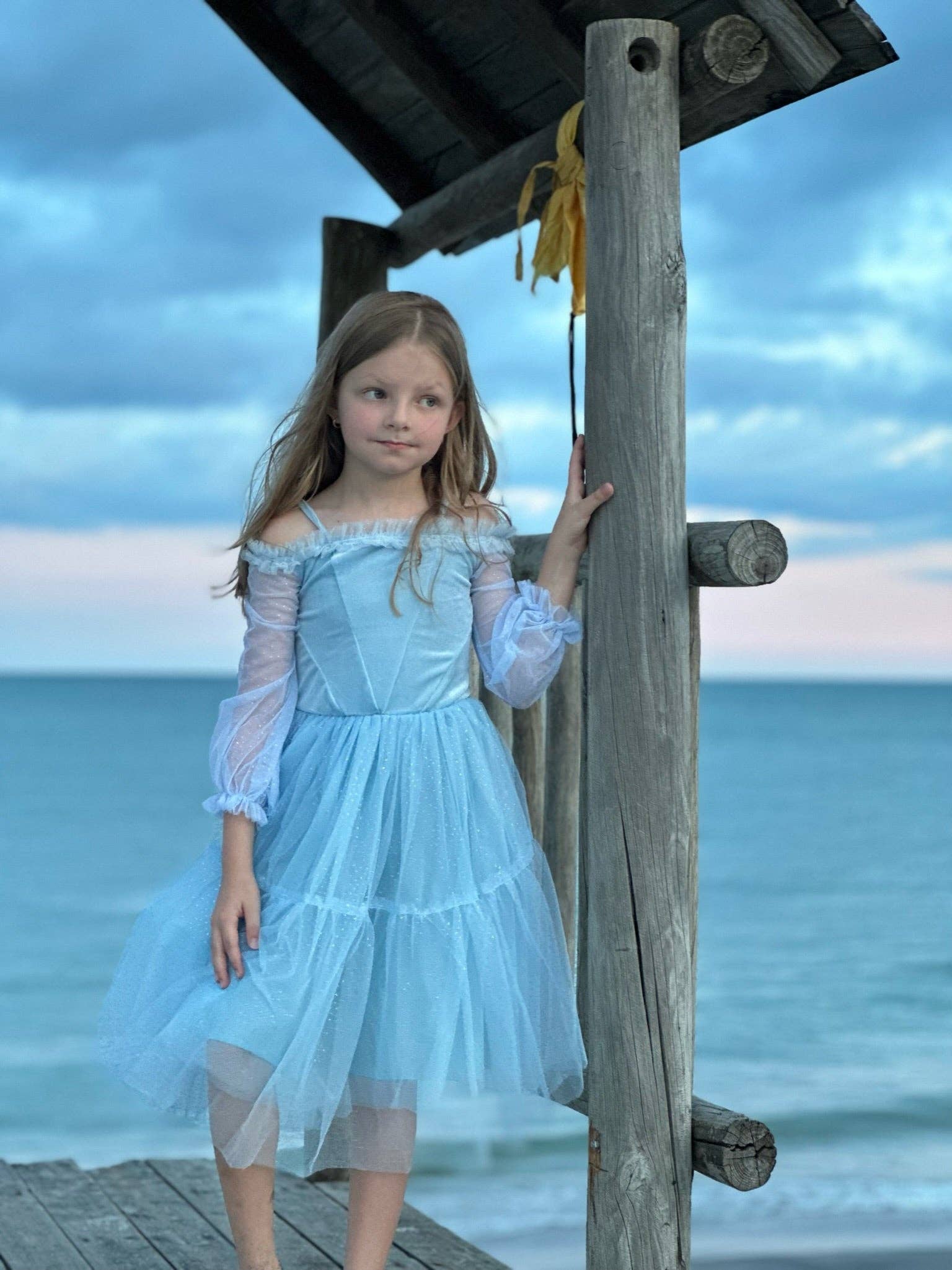 The Under The Sea Princess dress The Under The Sea Princess dress