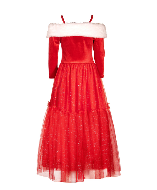 The North Pole Princess