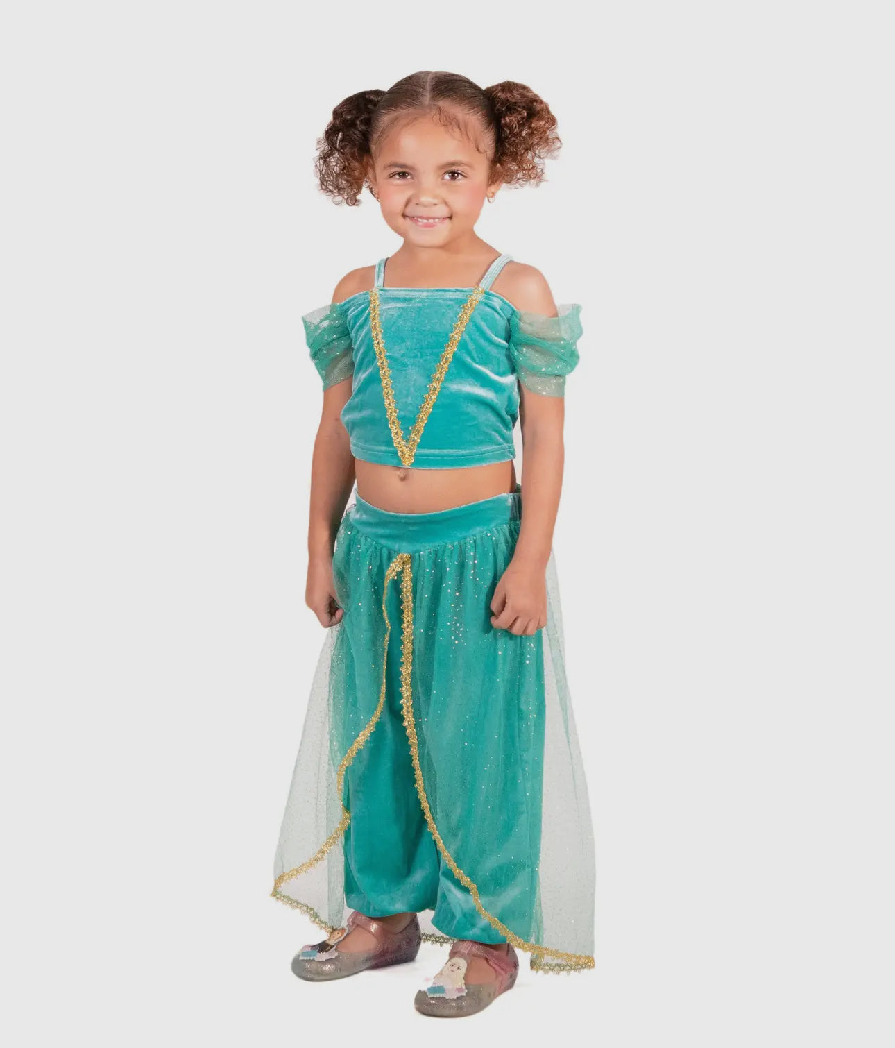 The Arabian Princess Costume