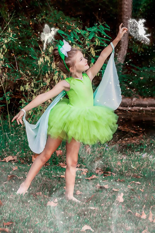 Fairy Tutu Leotard