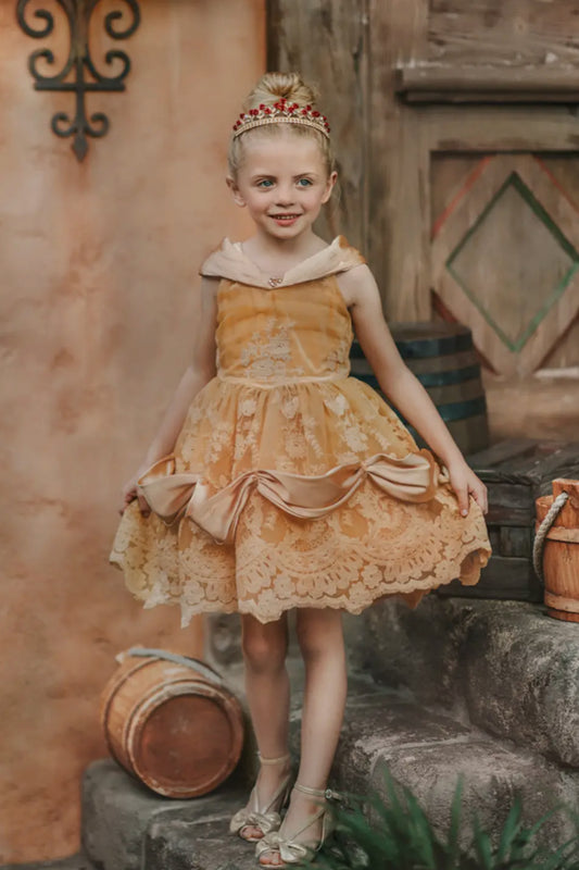 Portrait Petite Red Rose Princess Twirl Fancy Gown Dress