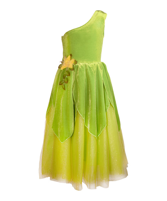 The Frog Princess or Tinker Fairy Dress