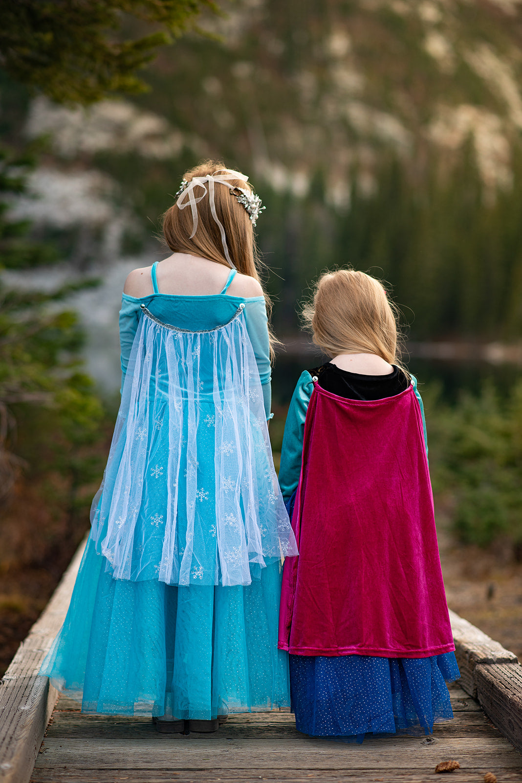 The True Love Princess Costume Dress