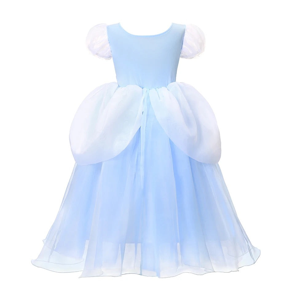 Cinderella Ball Gown