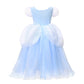 Cinderella Ball Gown