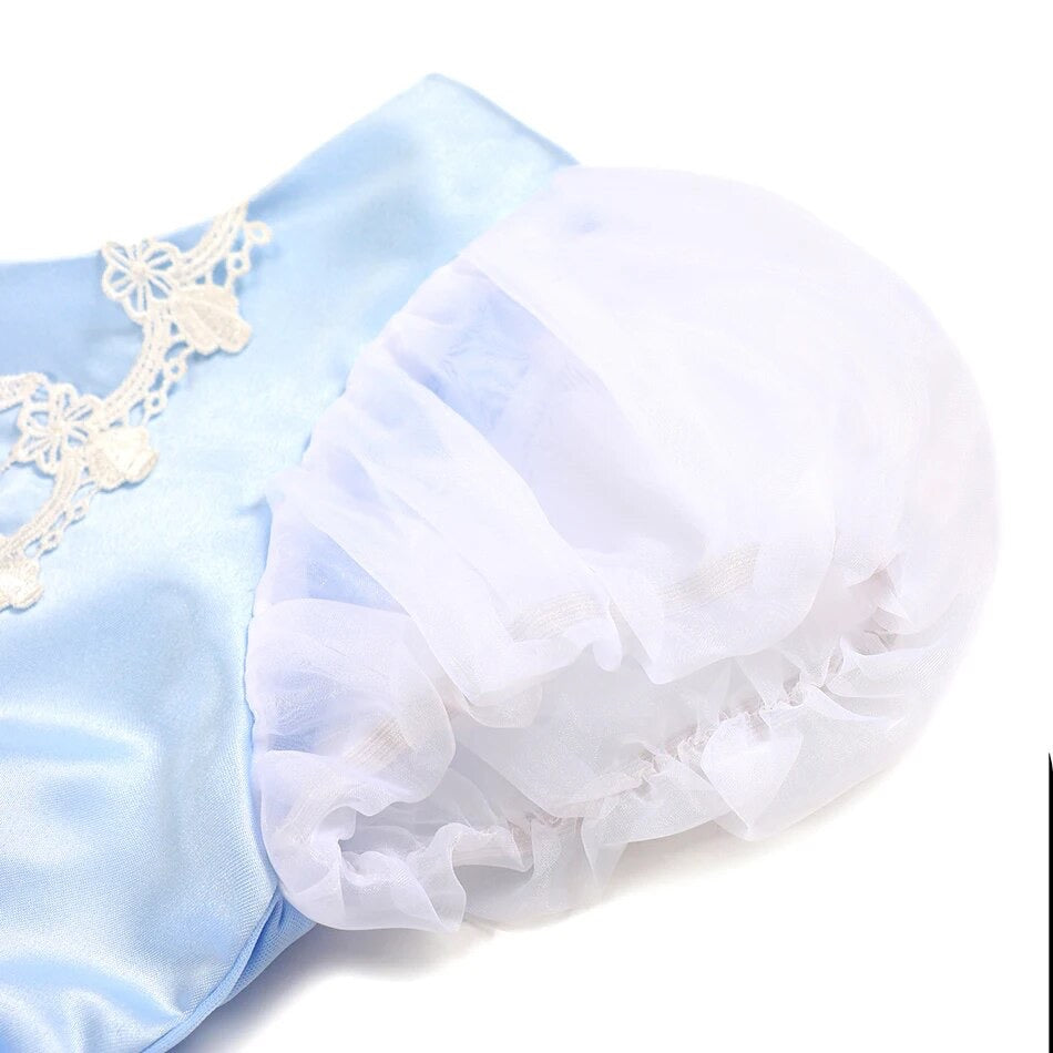 Cinderella Ball Gown