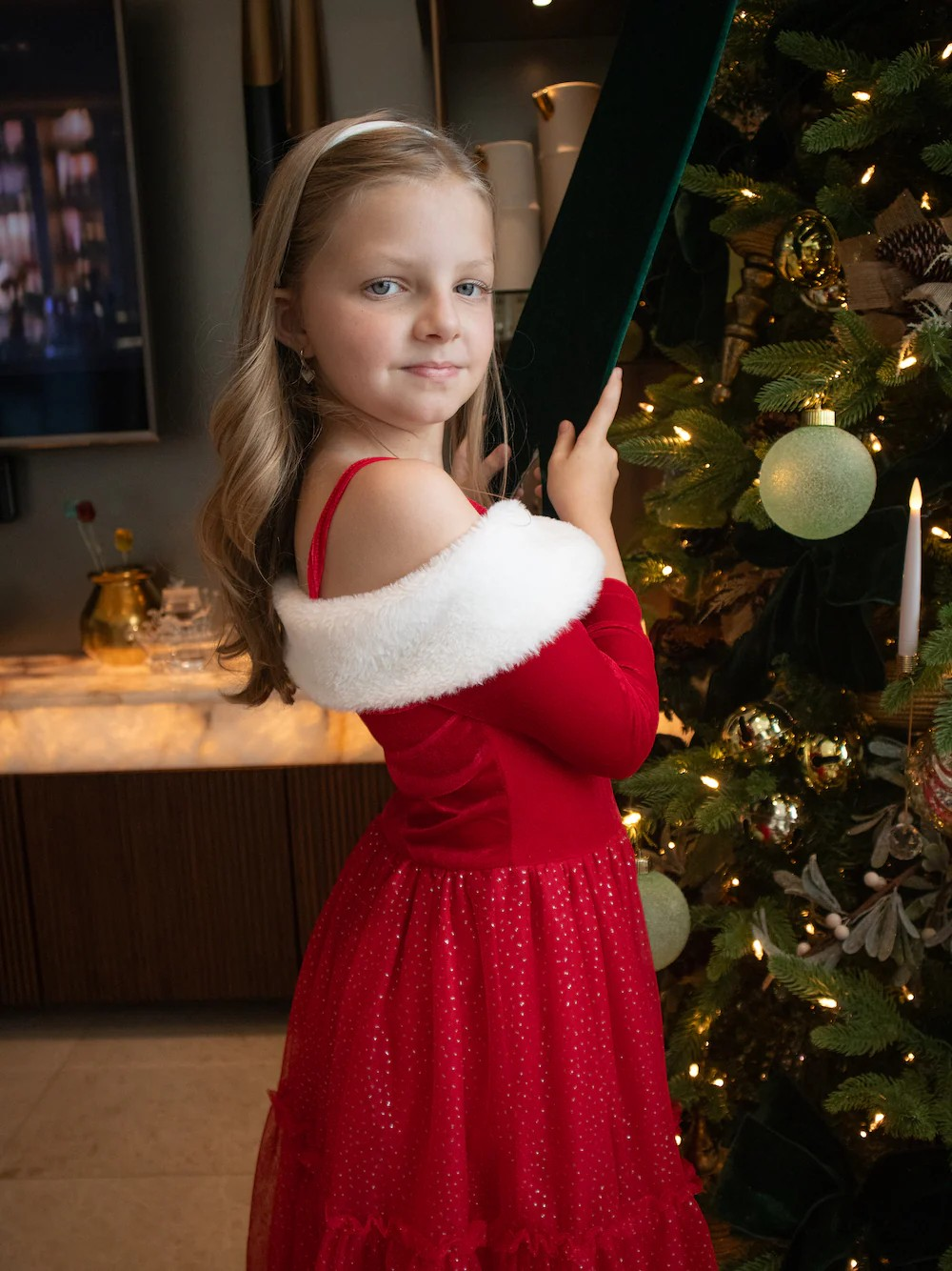 The North Pole Princess